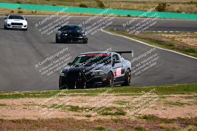 media/Feb-25-2024-Speed Ventures (Sun) [[b9a2a97a4d]]/Mustang Drivers Club/Session 3 (Turn 2)/